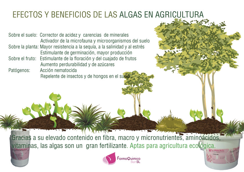 algas para agricultura farmaquimicasur
