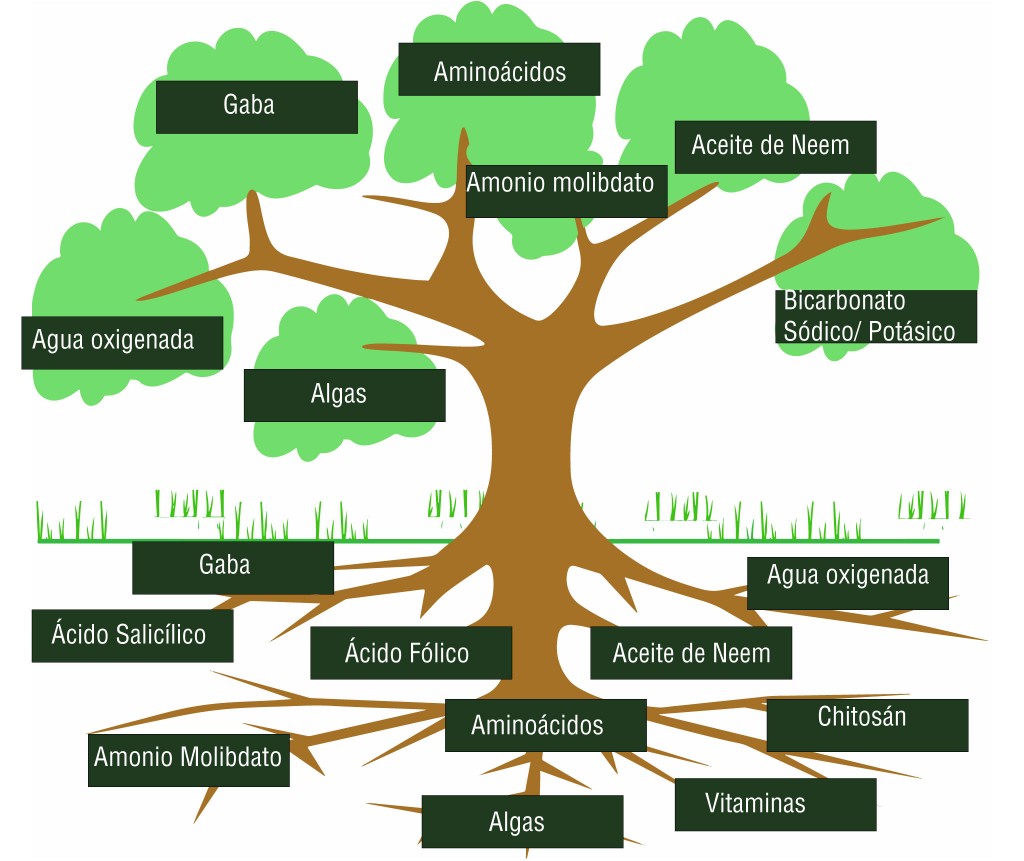 Uso de productos agrícolas